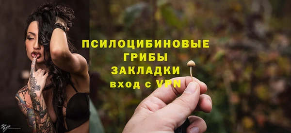 мдпв Нягань