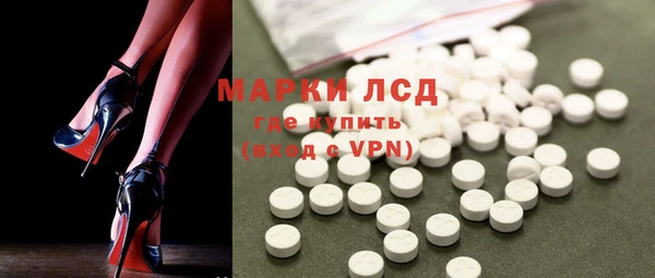 стафф Грязовец