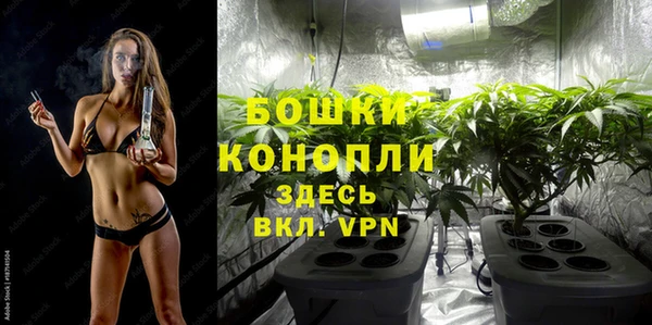 бошки Гвардейск