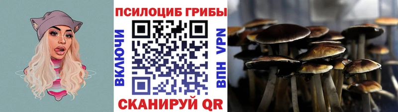 Галлюциногенные грибы GOLDEN TEACHER  Купить  Кедровый 